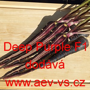 Mrkev obecná hybridní Deep Purple F1